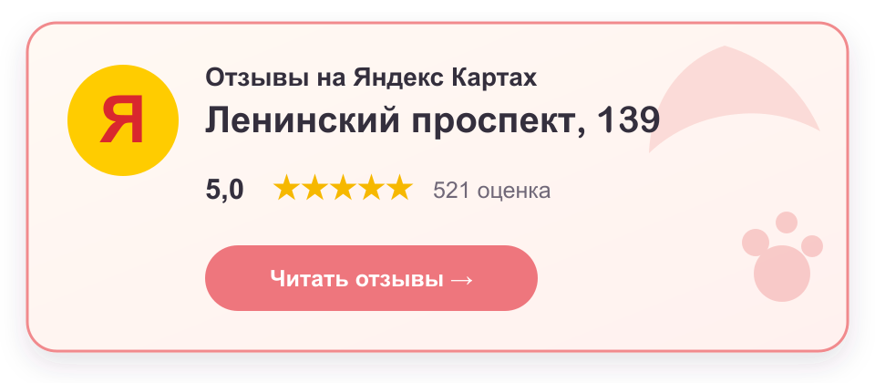 Отзывы Cat Town — Ленинский проспект, 139: рейтинг 5,0, 521 оценка